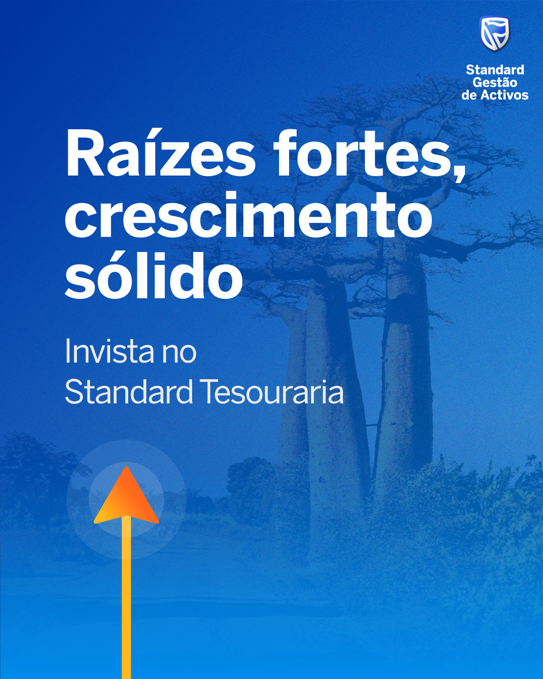 SGA1 - Raízes fortes, crescimento sólido